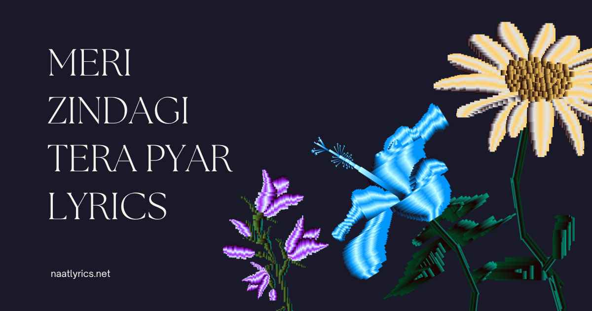 Meri Zindagi Tera Pyar Lyrics
