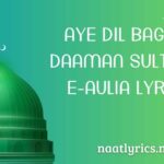 Aye Dil Bageer Daaman Sultaan-e-Aulia Lyrics