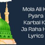 Mola Ali Ka Pyara Karbal Ko Ja Raha Hai Lyrics