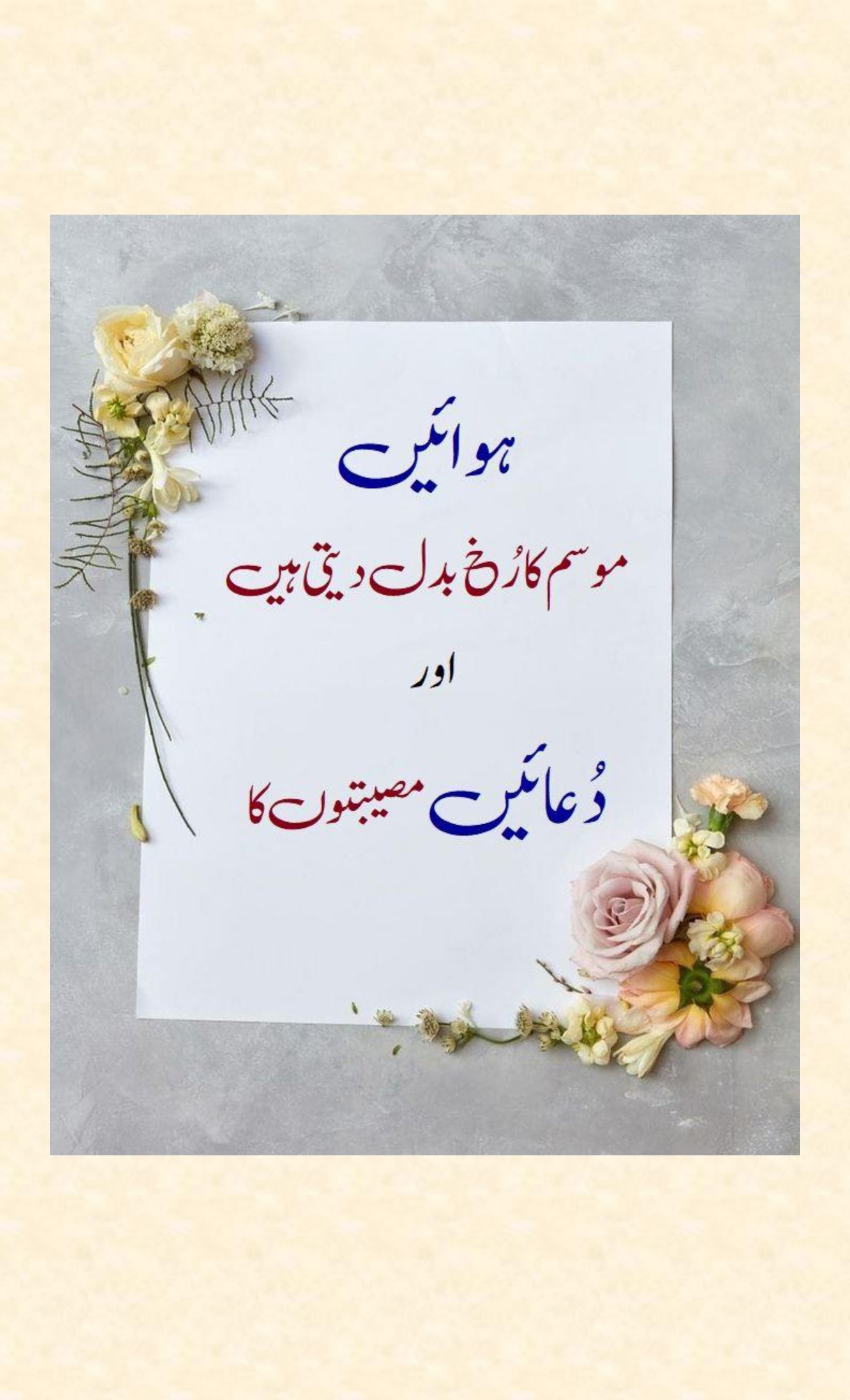 Koi Salmaane Faras Aur Janaabe Qur Se Pooche Ke